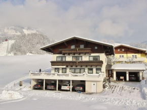 Beautiful apartment with large, sunny balcony Hollersbach Im Pinzgau